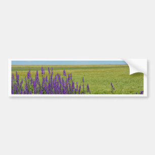 Pegatina Para Coche Campos de Trigo con Flores Silvestres Purpúreas