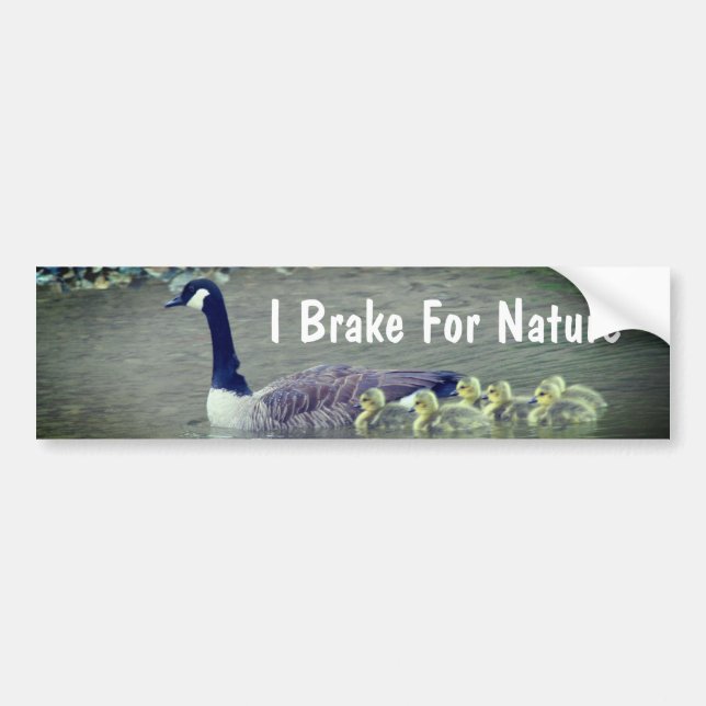 Pegatina Para Coche Canada Goose Babies I Brake For Nature  (Frente)
