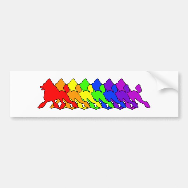 Pegatina Para Coche Caniche del arco iris (Frente)