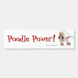 Pegatina Para Coche Caniche -- Muestre la capa