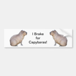 Pegatina Para Coche Capibara
