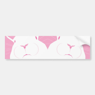 PEGATINA PARA COCHE CARA 2