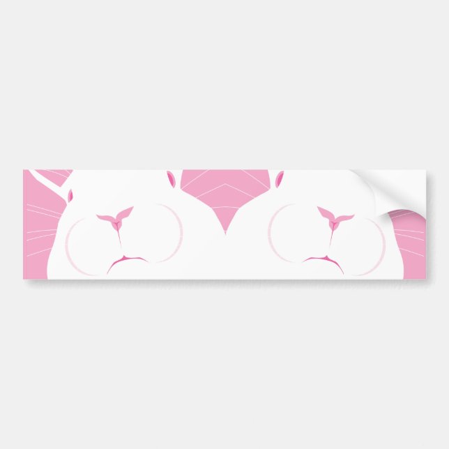 PEGATINA PARA COCHE CARA 2 (Frente)