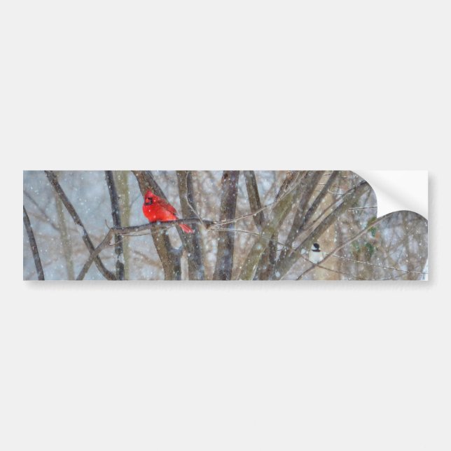 Pegatina Para Coche Cardenal y pollo (Frente)