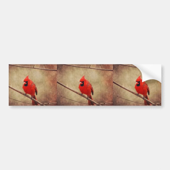 Pegatina Para Coche Cardinal (Frente)