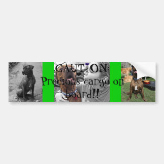 Pegatina Para Coche Cargo precioso