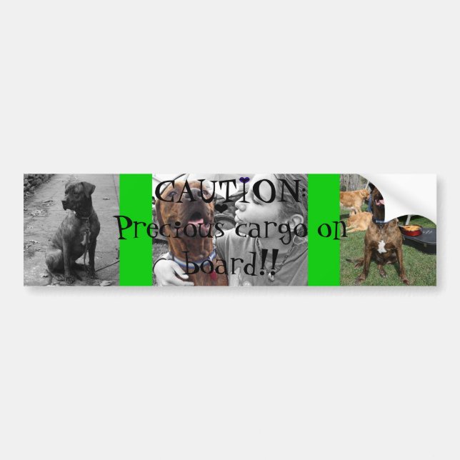 Pegatina Para Coche Cargo precioso (Frente)