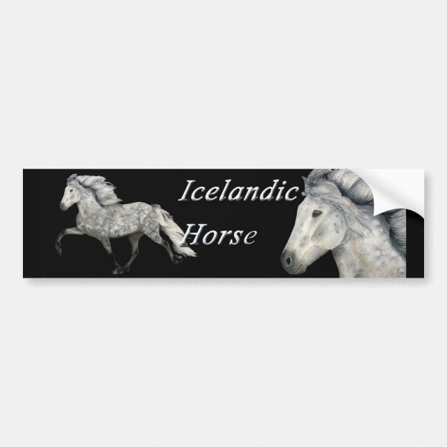 Pegatina Para Coche Carismático (Frente)