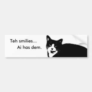 Pegatina Para Coche Cat2
