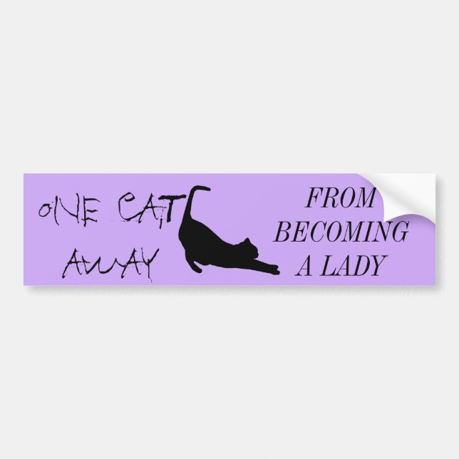 PEGATINA PARA COCHE CAT LADY (Frente)