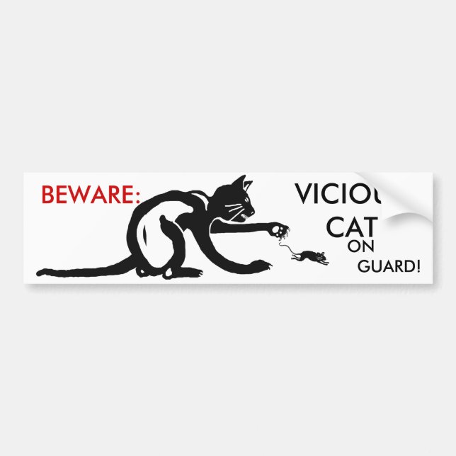 PEGATINA PARA COCHE CAT ON GUARD (Frente)
