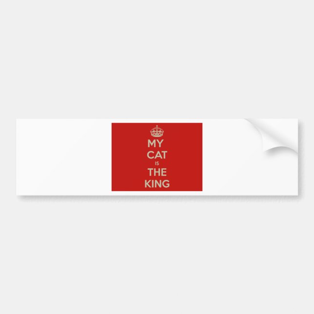 Pegatina Para Coche Cat Qoute (Frente)