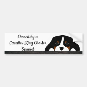 Pegatina Para Coche Cavalier Rey Carlos Spaniel Perro Cachorro