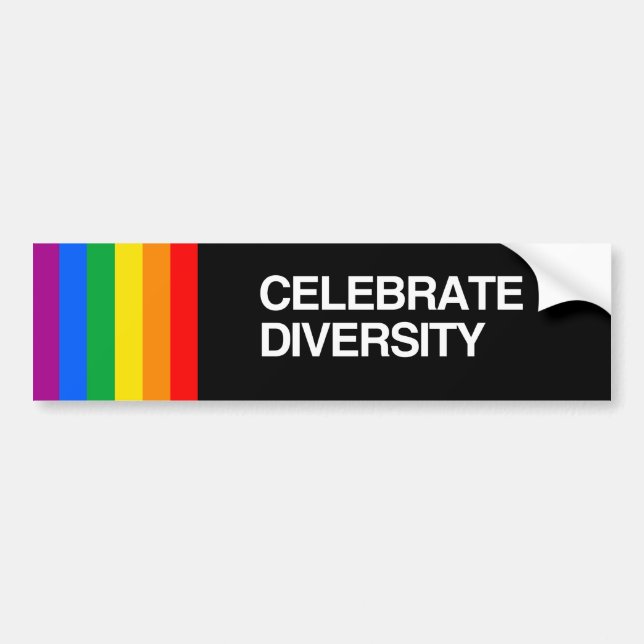 PEGATINA PARA COCHE CELEBRE LA DIVERSIDAD (Frente)