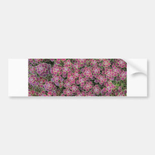 Pegatina Para Coche celular