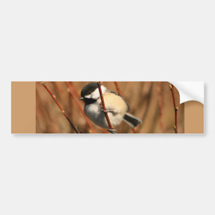 Pegatina Para Coche Chickadee capsulado negro