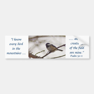 Pegatina Para Coche Chickadee en una ramita