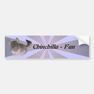 Pegatina Para Coche Chinchilla