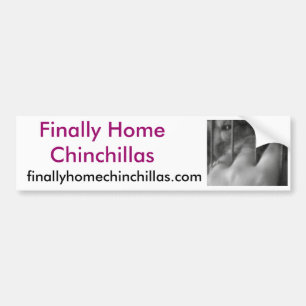 Pegatina Para Coche Chinchillas finalmente caseras, chiles