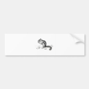 Pegatina Para Coche Chipmunk