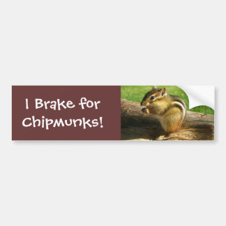 Pegatina Para Coche Chipmunk lindo