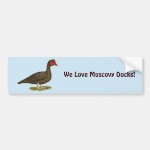Pegatina Para Coche Chocolate Muscovy Drake