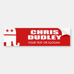 PEGATINA PARA COCHE CHRIS DUDLEY PARA EL GOBERNADOR