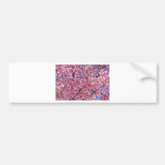Pegatina Para Coche Cielo de flores de cerezo rosado de Sakura