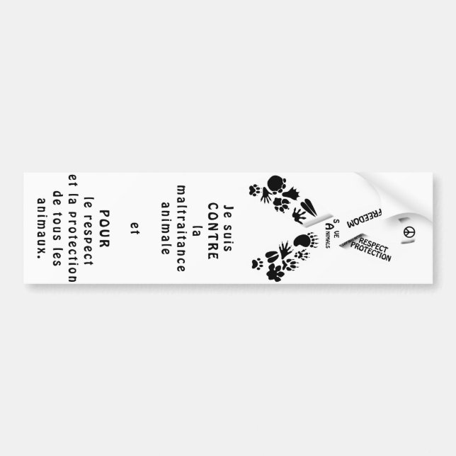 Pegatina Para Coche cinta blanca (Frente)