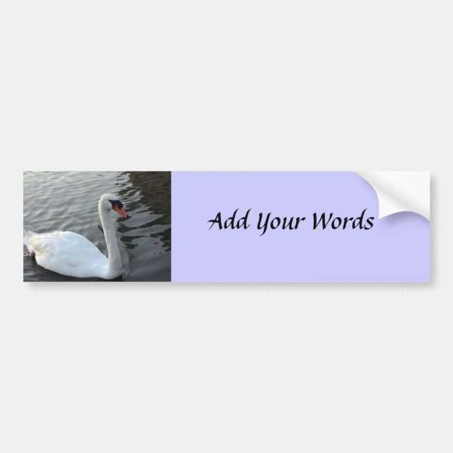 Pegatina Para Coche Cisne (Frente)