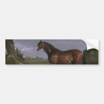 Clydesdale Stallion (Caballo tostado) (Animal)