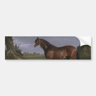 Pegatina Para Coche Clydesdale Stallion (Caballo tostado) (Animal)