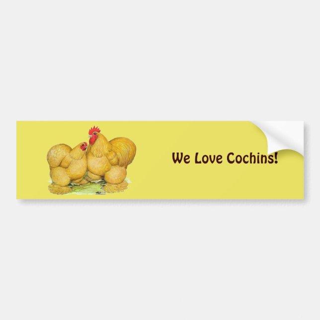 Pegatina Para Coche Cochins Buff Pair (Frente)