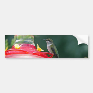 Pegatina Para Coche Colibrí