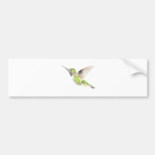 Pegatina Para Coche Colibrí
