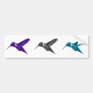 Pegatina Para Coche Colibrí 2054