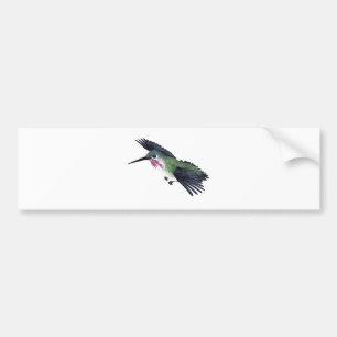 Pegatina Para Coche Colibrí del Calliope