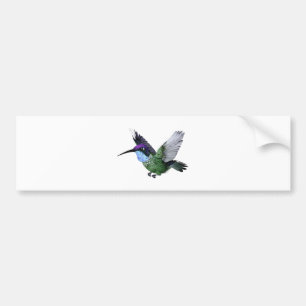 Pegatina Para Coche Colibrí magnífico