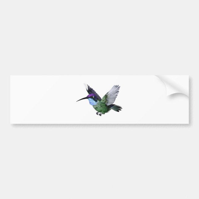 Pegatina Para Coche Colibrí magnífico (Frente)