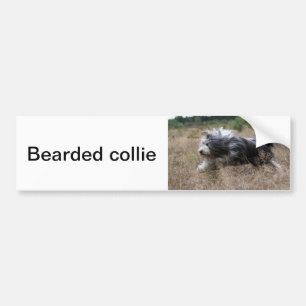 Pegatina Para Coche collie barbudo