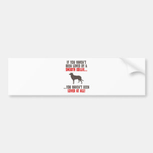 Pegatina Para Coche Collie liso