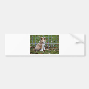Pegatina Para Coche Collie Super Cute