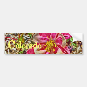 Pegatina Para Coche Columbina rosa Colorado bumpersticker