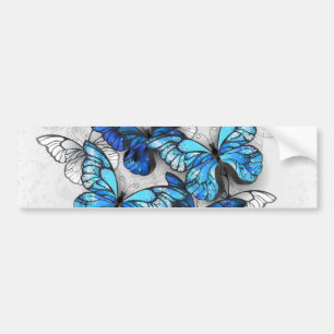 Pegatina Para Coche Composition of White and Blue Butterflies