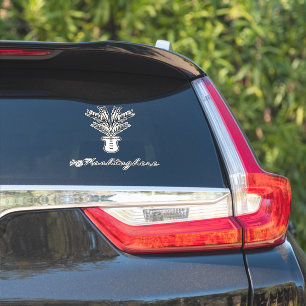 Pegatina para coche con nombre de palmera dibujado