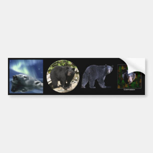 Pegatina Para Coche Conjunto de OSO V multipegatinas