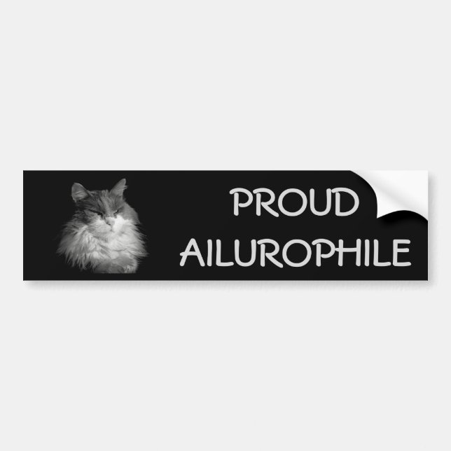Pegatina Para Coche Coon orgulloso de Ailurophile (amante) del gato (Frente)