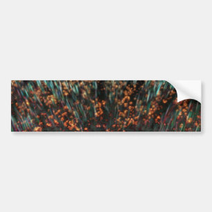 Pegatina Para Coche Copper Borealis