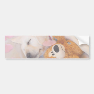 Pegatina Para Coche Cordones de cachorro 02