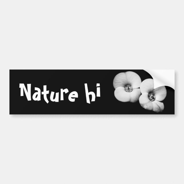 Pegatina Para Coche corona de espinas (Frente)